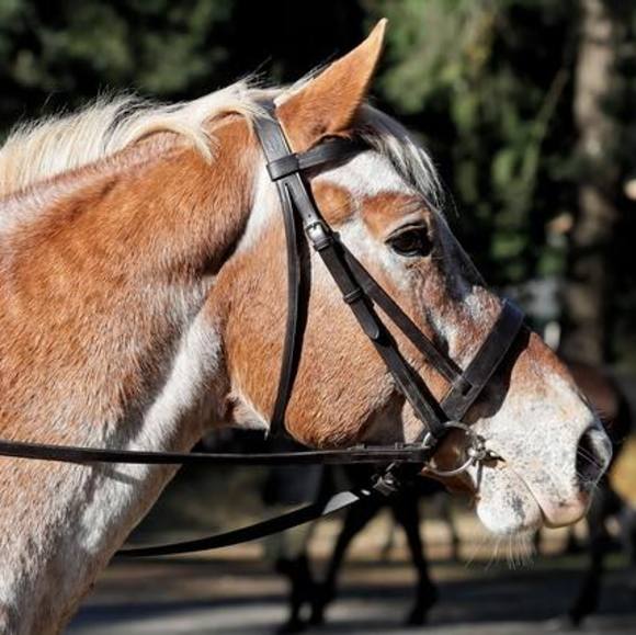 Meet your Posher, Noreen - Picture 1 of 1